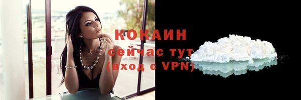 СК Ступино