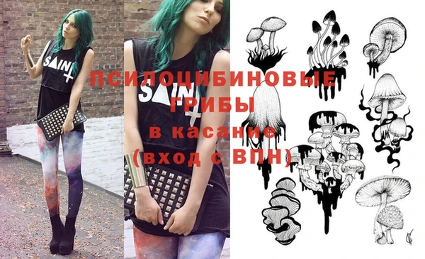 гидра Вязники