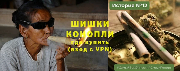 гидра Вязники