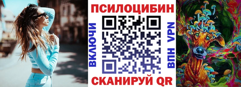 Псилоцибиновые грибы Psilocybine cubensis  площадка формула  Оха  купить  